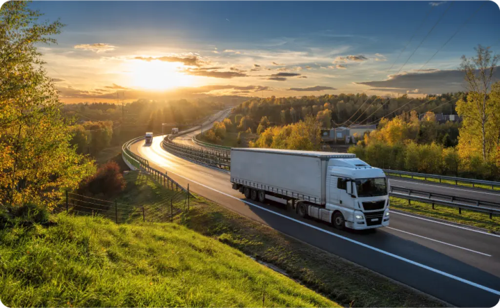 Customs outsourcing in the digital era. Why technological competence and EU integration define the future.