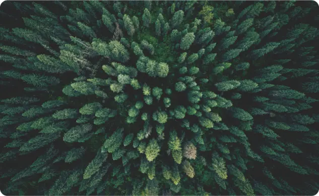 CSRD: Mandatory sustainability reporting for all large companies in the EU.